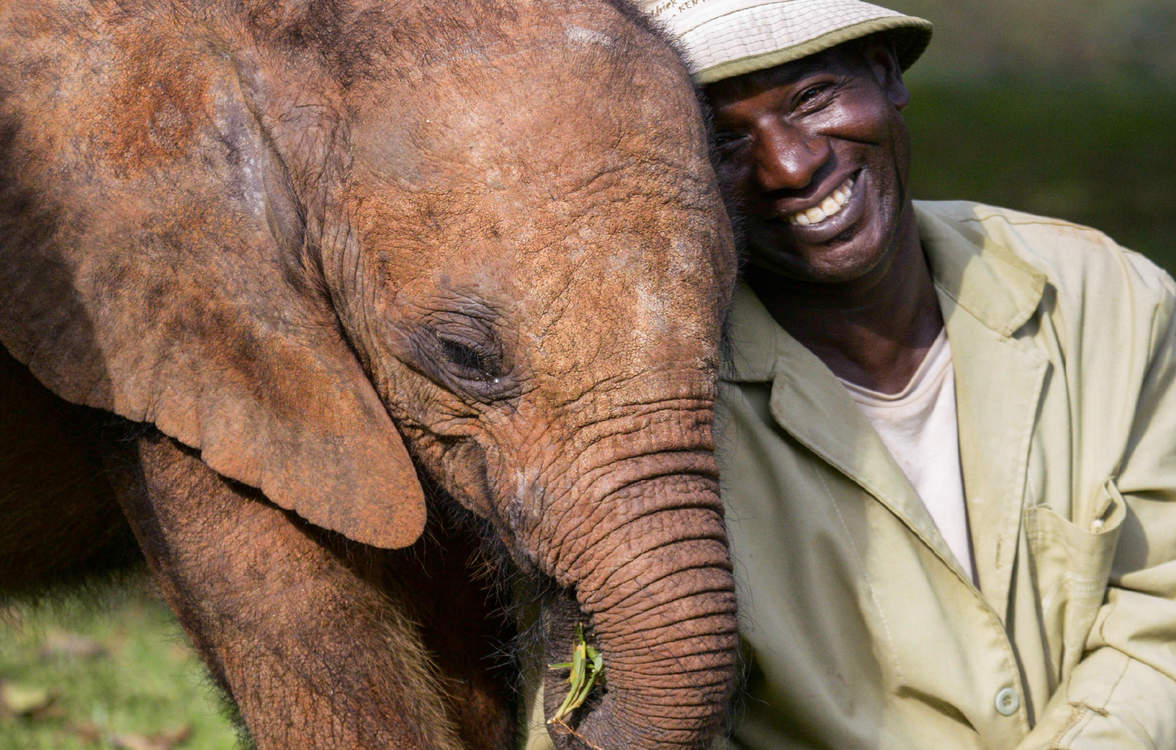 David Sheldrick Elephant Orphanage